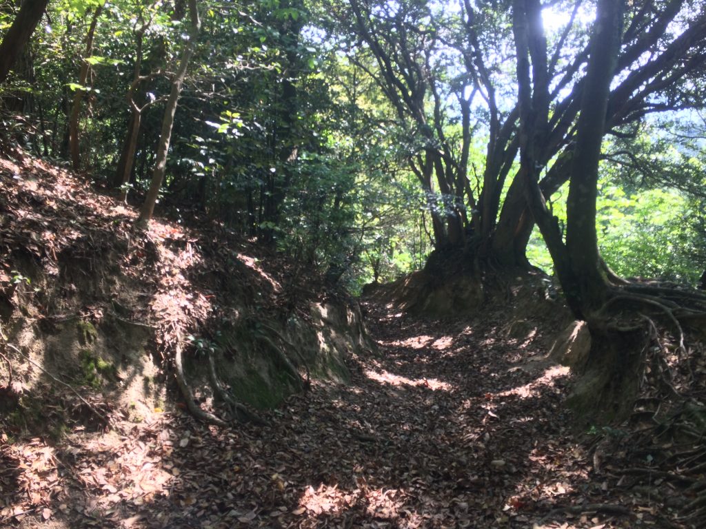 トレイルラン,油山,福岡,福岡市,福岡県,堤小,トレラン,ランニング,マラソン,フルマラソン,run,