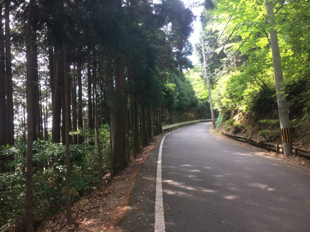 トレイルラン,油山,福岡,福岡市,福岡県,堤小,トレラン,ランニング,マラソン,フルマラソン,run,
