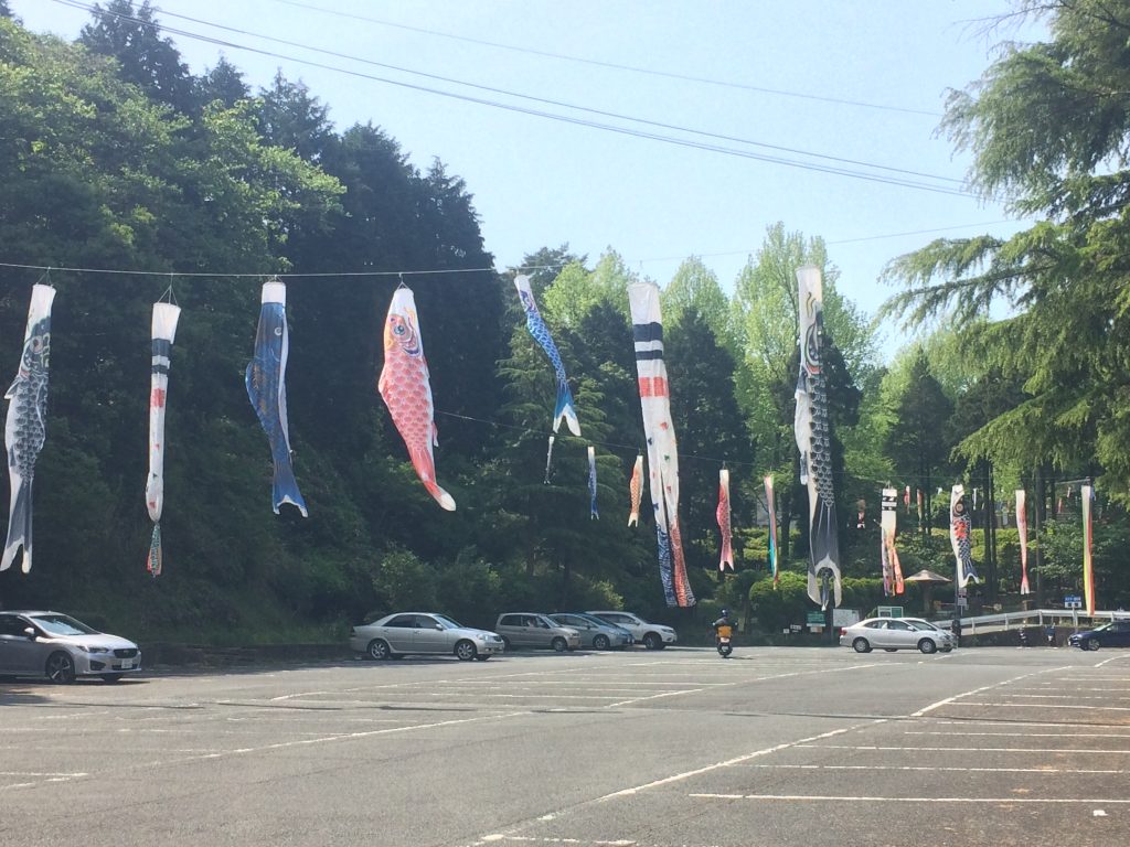 トレイルラン,油山,福岡,福岡市,福岡県,堤小,トレラン,ランニング,マラソン,フルマラソン,run,