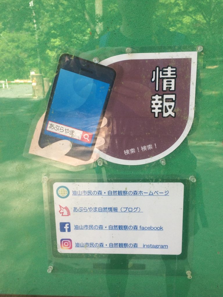 トレイルラン,油山,福岡,福岡市,福岡県,堤小,トレラン,ランニング,マラソン,フルマラソン,run,