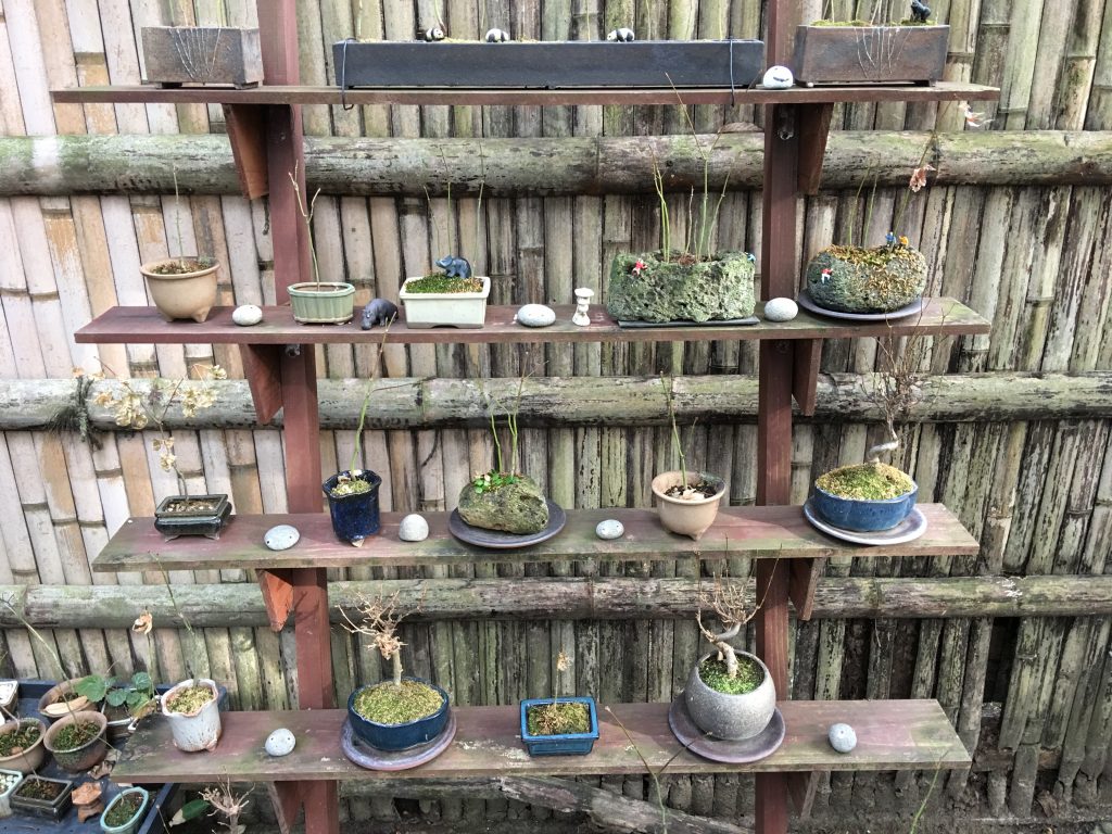 福岡,友泉亭,友泉中学校,福岡市,観光,庭園,笹丘,イオン笹丘,ダイエー笹丘店