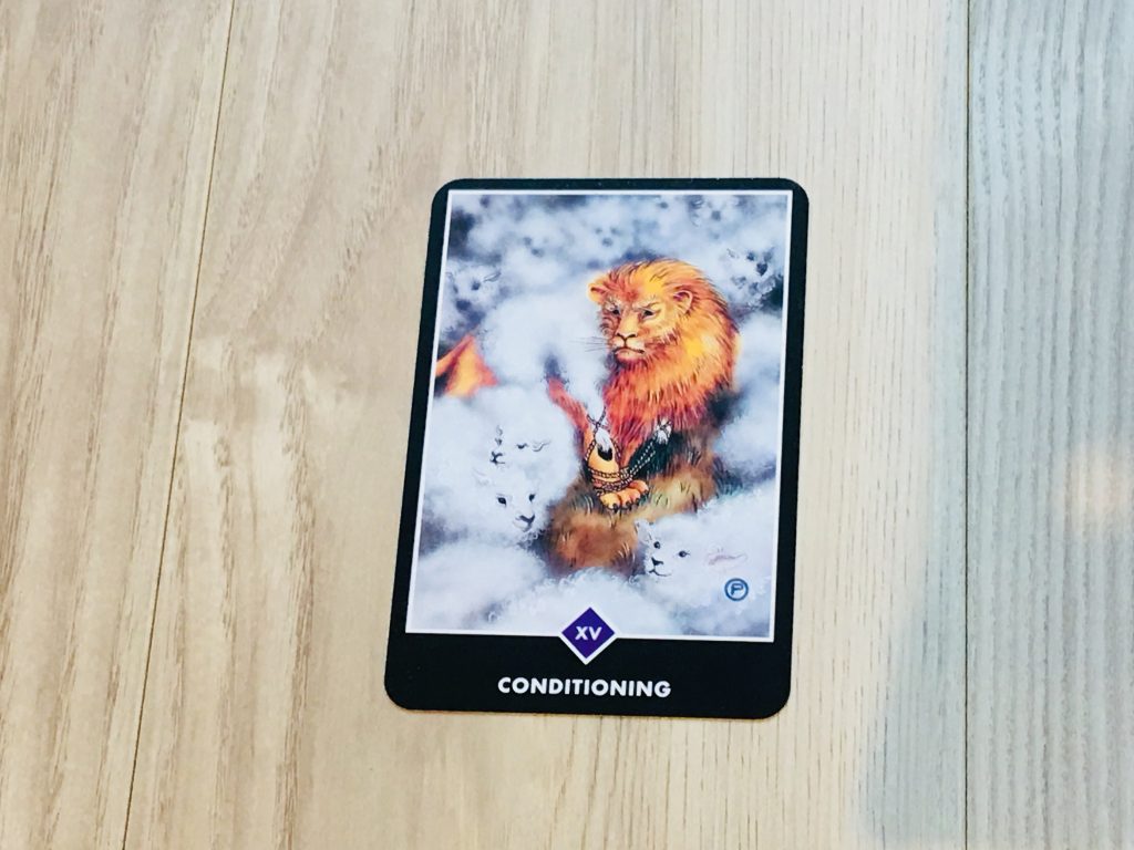 OshoZenTarot,和尚禅タロット,タロット,和尚,占い,tarot