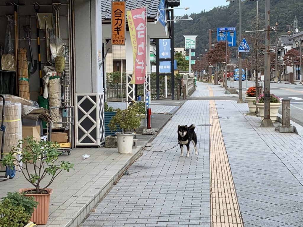ゆるキャン,ゆるキャン△,本栖高校学園祭,秘密結社ブランケット音楽祭,身延町,山梨,聖地巡礼,