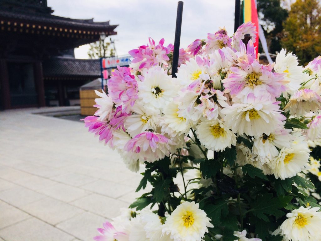 川崎,川崎大師,京急川崎,川崎市,鈴木町,福岡,ランニング,フルマラソン,nike, nikeplus,running,ジョギング,多摩川,多摩川改修100年
