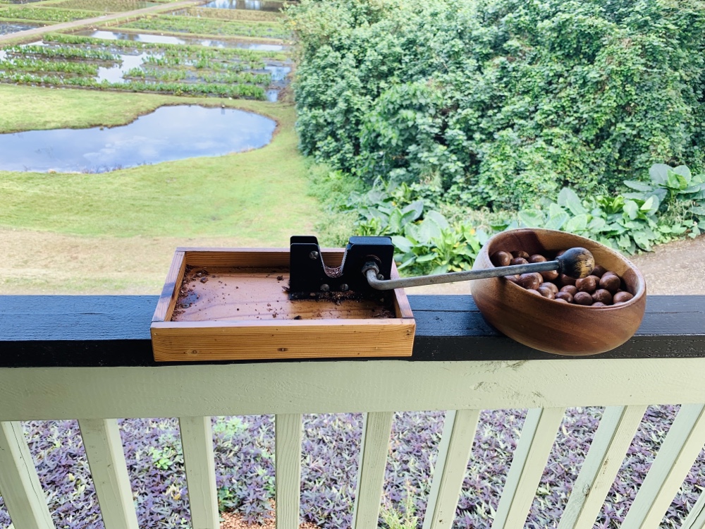 クアロアランチ,JTB,アドベンチャーツアー,ハワイ,hawaii,ツアー,kualoa,乗馬,ジュラッシックパーク,ジュラシックワールド