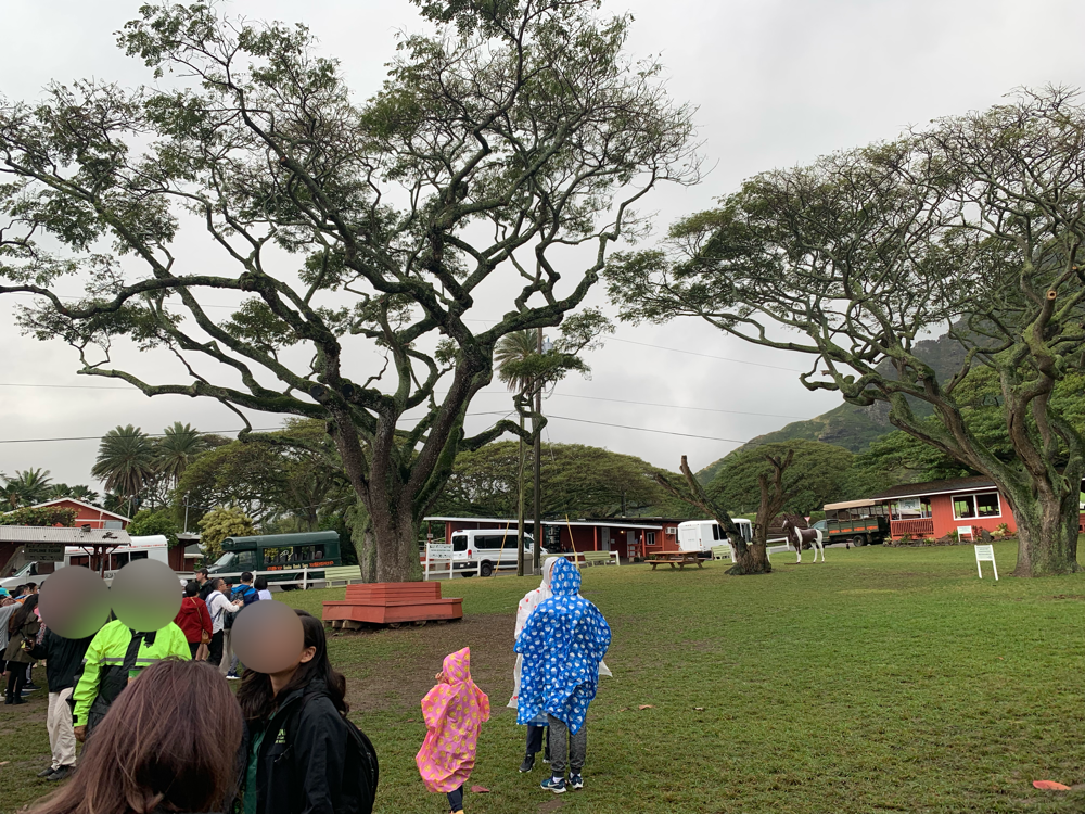 クアロアランチ,JTB,アドベンチャーツアー,ハワイ,hawaii,ツアー,kualoa,乗馬,ジュラッシックパーク,ジュラシックワールド