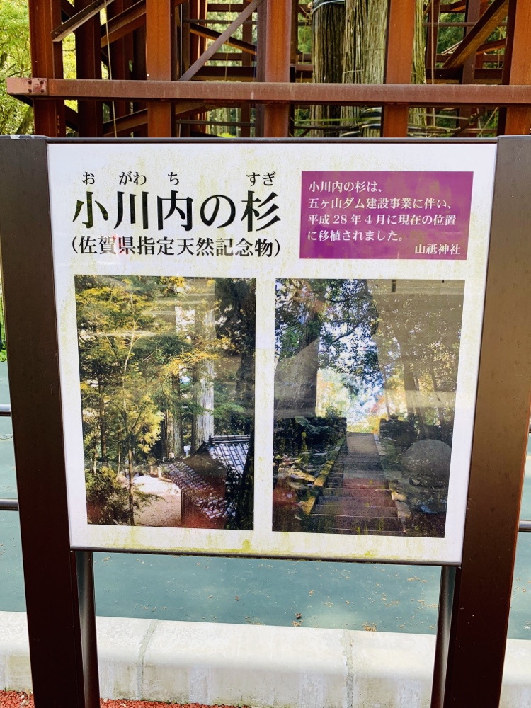五ケ山ベースキャンプ,五ケ山,福岡,佐賀,montbell,モンベル,キャンプ,ダムカード,小川内の杉