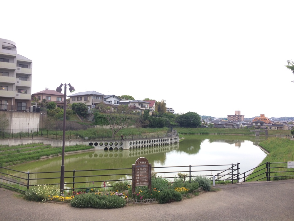 久屋池緑地,福岡,福岡免許センター,マイマイスクール,公園,fukuoka,ランニング,
