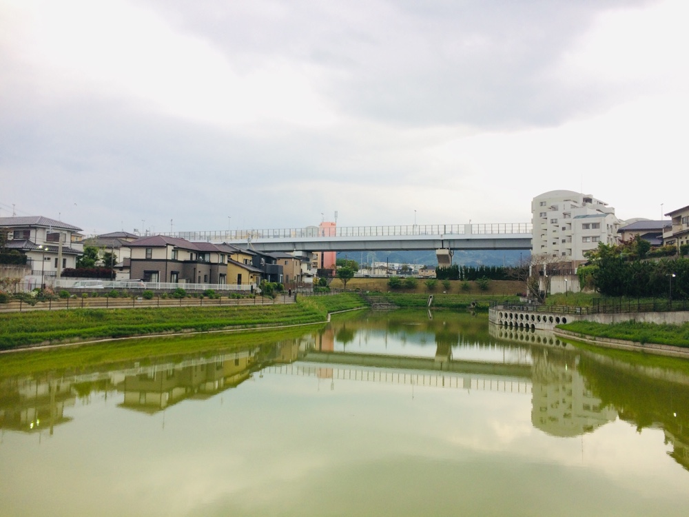 久屋池緑地,福岡,福岡免許センター,マイマイスクール,公園,fukuoka,ランニング,