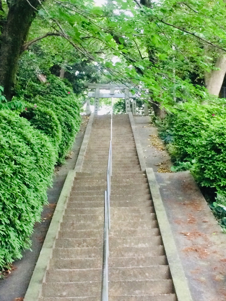 福岡,ランニング,都市高速,スポット,FUKUOKA,福岡マラソン,福岡免許センター,