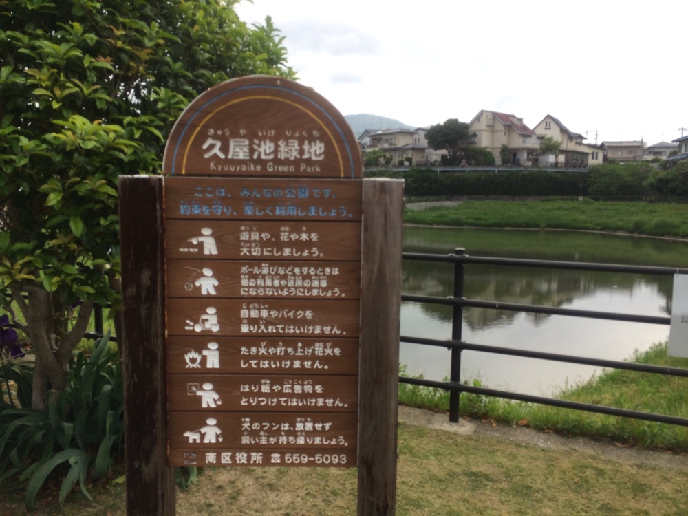 久屋池緑地,福岡,福岡免許センター,マイマイスクール,公園,fukuoka,ランニング,