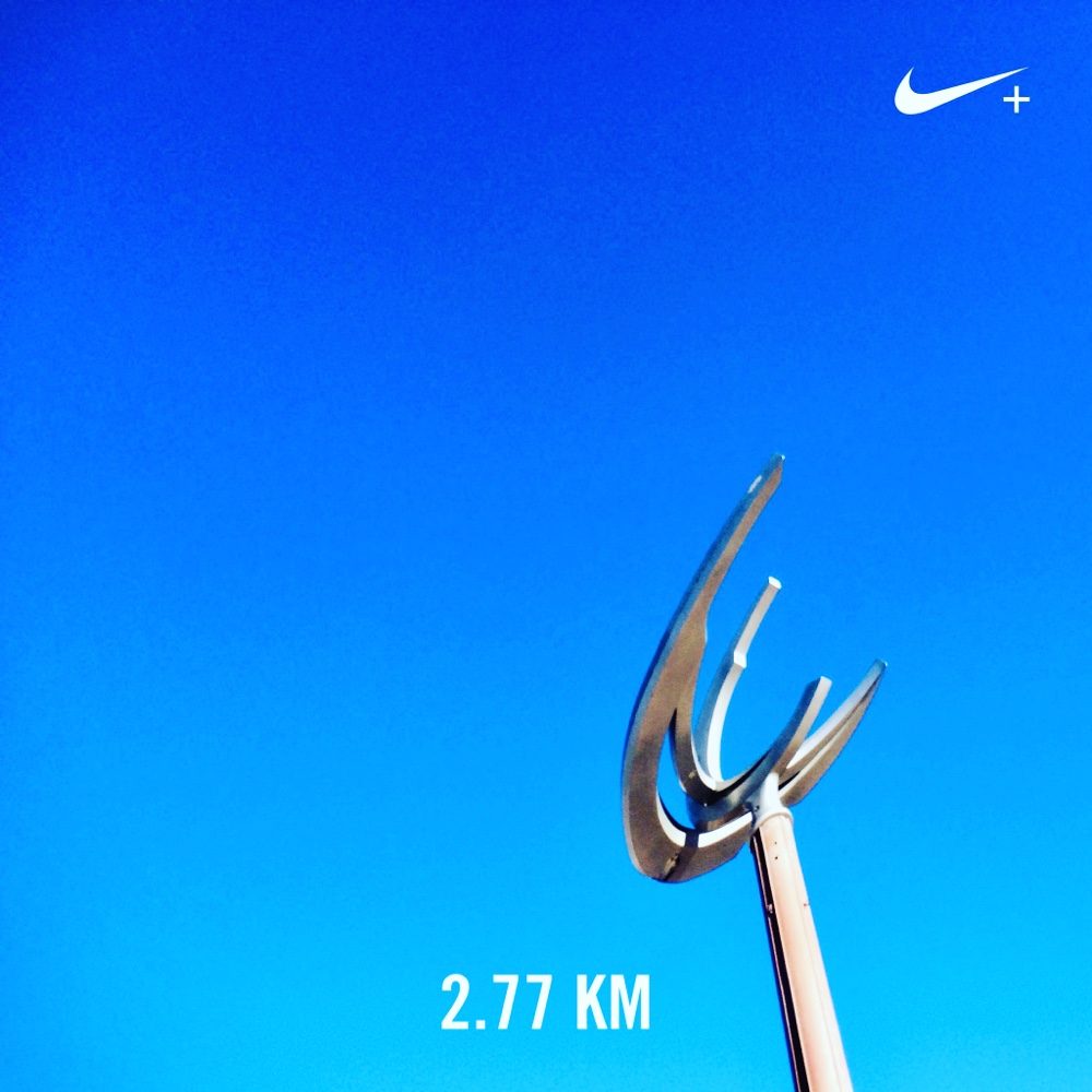 多摩川,台風,台風被害,ランニング,ランニング日誌,ラン,nike,
