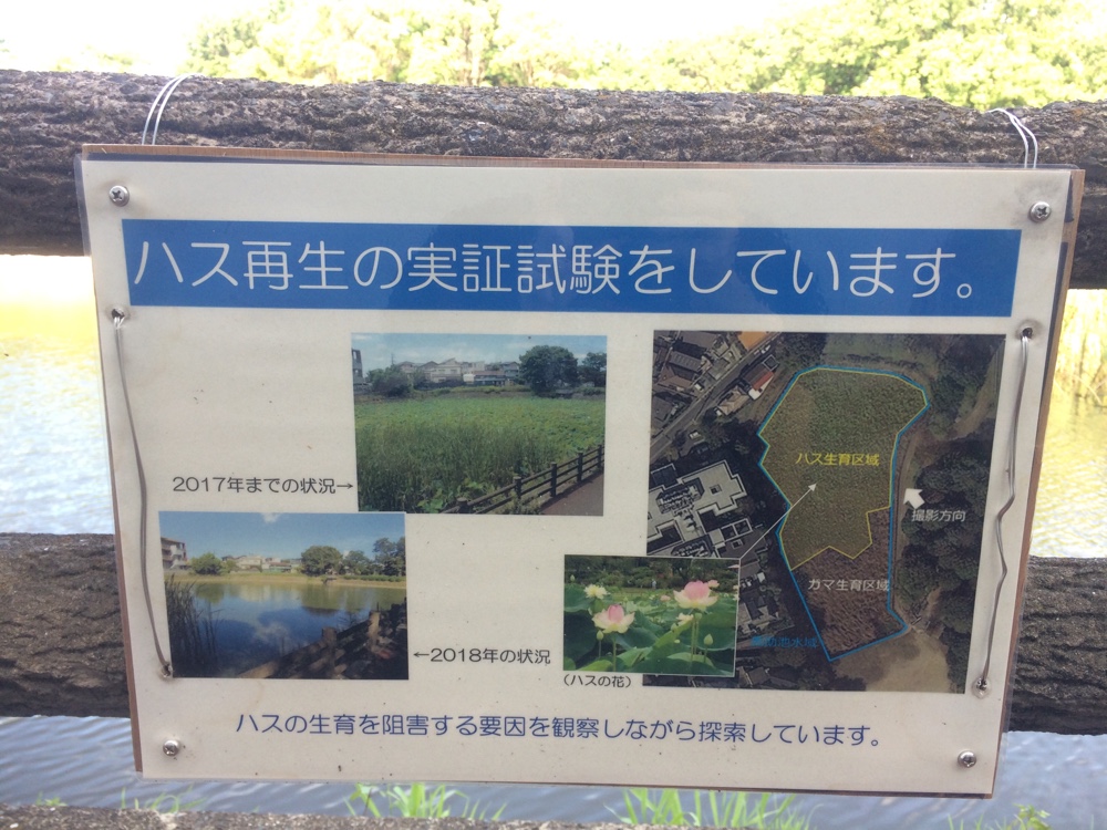 鹿助公園,福岡,南区,西長住,長住,長尾,福岡市,長住団地,ミスターマックス
