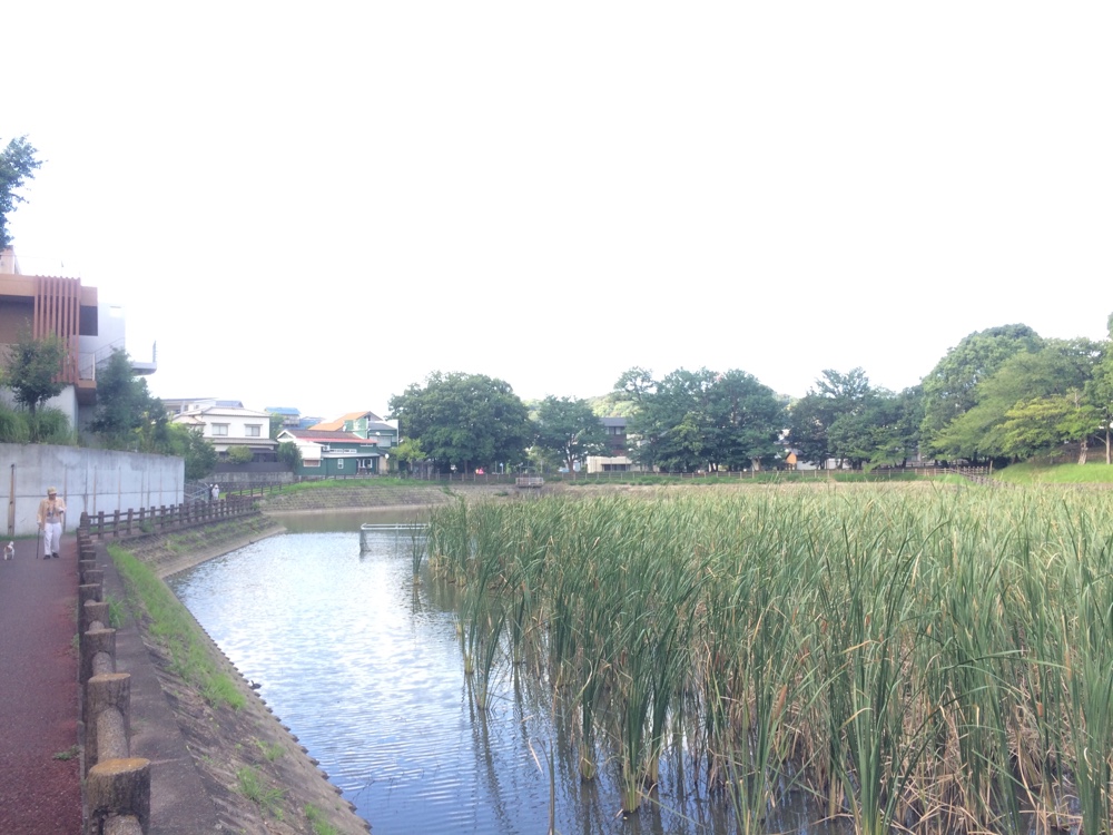 鹿助公園,福岡,南区,西長住,長住,長尾,福岡市,長住団地,ミスターマックス