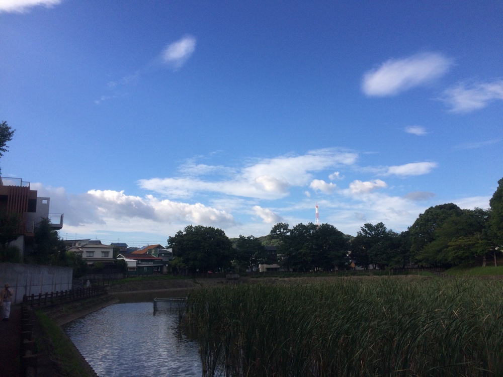 鹿助公園,福岡,南区,西長住,長住,長尾,福岡市,長住団地,ミスターマックス