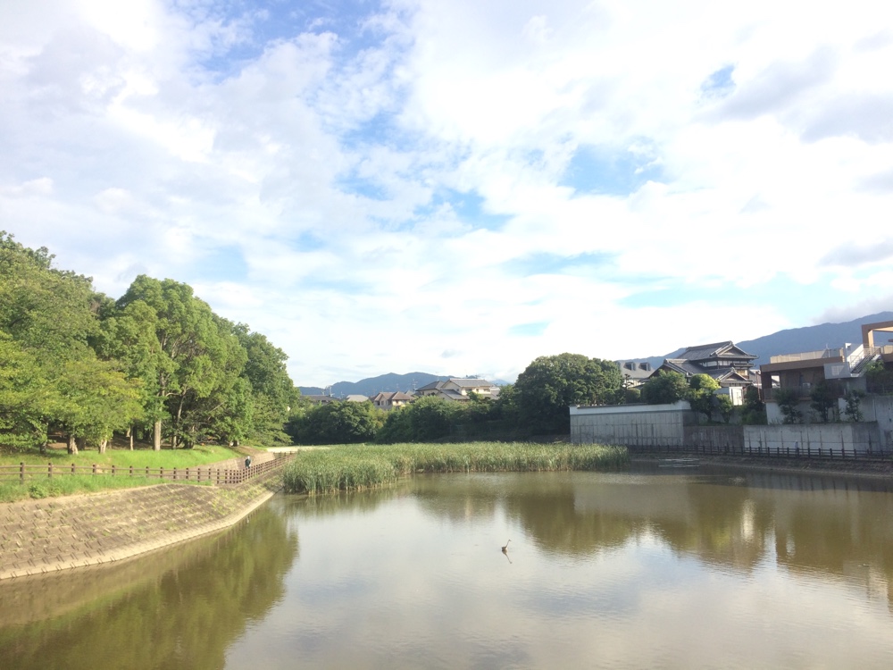 鹿助公園,福岡,南区,西長住,長住,長尾,福岡市,長住団地,ミスターマックス