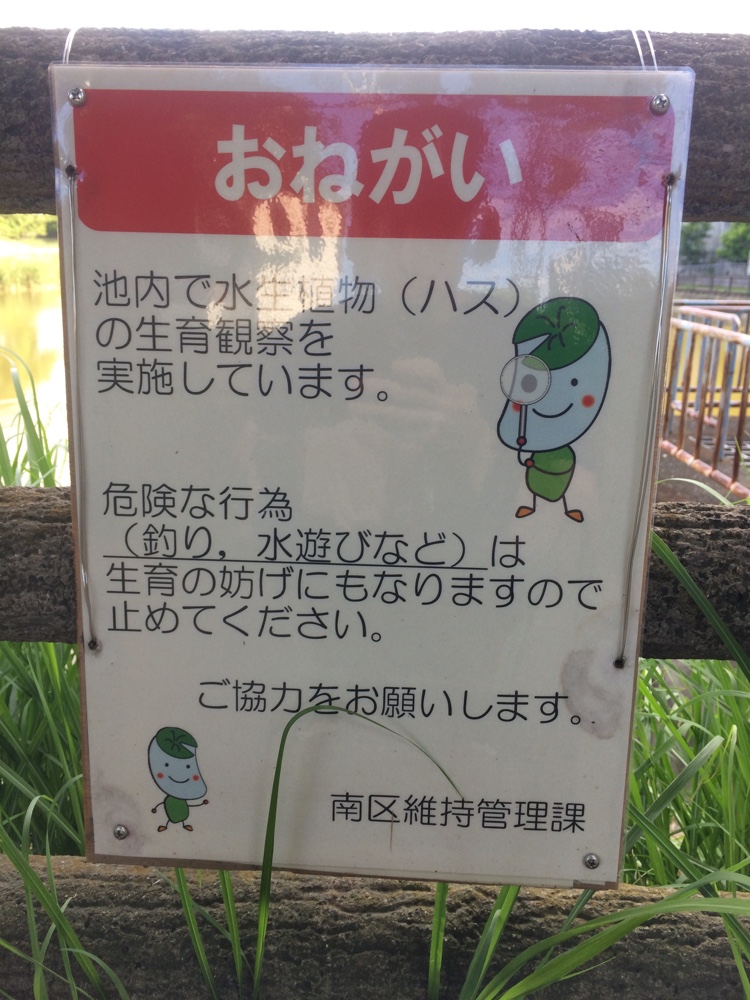 鹿助公園,福岡,南区,西長住,長住,長尾,福岡市,長住団地,ミスターマックス