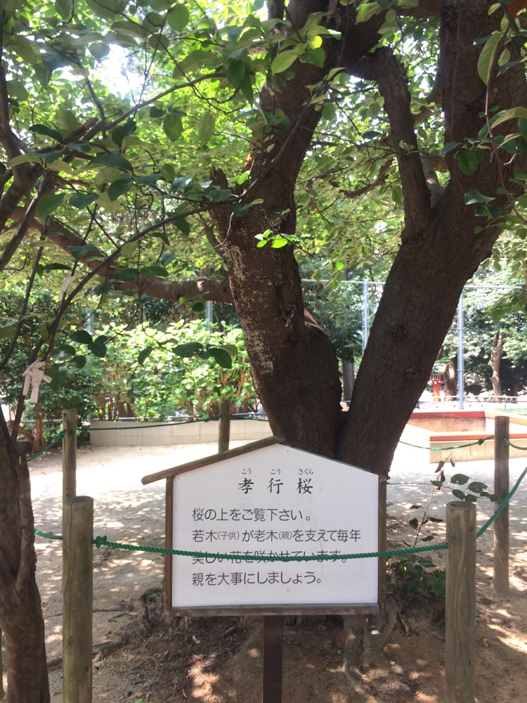 御子神社,城南区,福岡,南区,西長住,長住,長尾,福岡市,長住団地,ミスターマックス,神社
