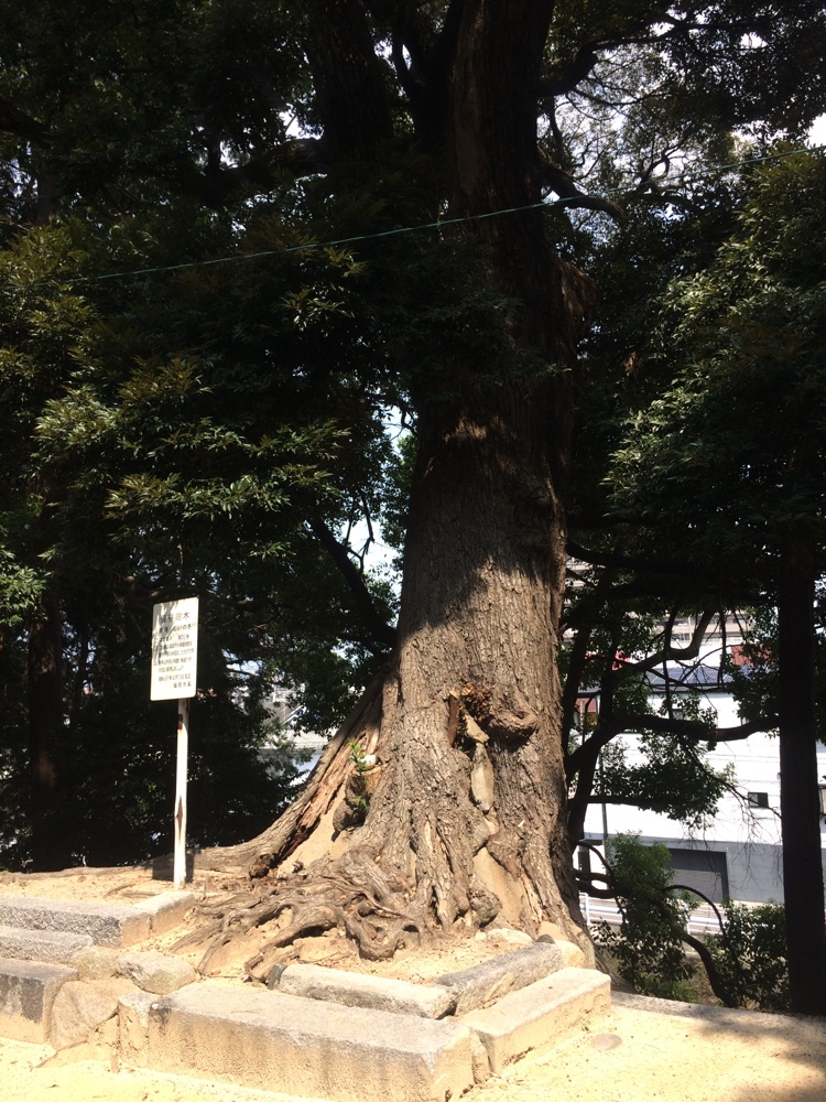 御子神社,城南区,福岡,南区,西長住,長住,長尾,福岡市,長住団地,ミスターマックス,神社