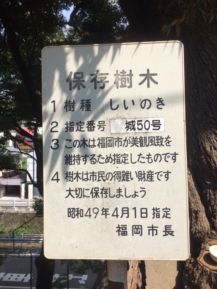 御子神社,城南区,福岡,南区,西長住,長住,長尾,福岡市,長住団地,ミスターマックス,神社