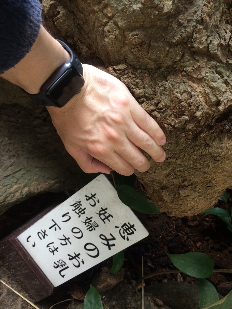 御子神社,城南区,福岡,南区,西長住,長住,長尾,福岡市,長住団地,ミスターマックス,神社