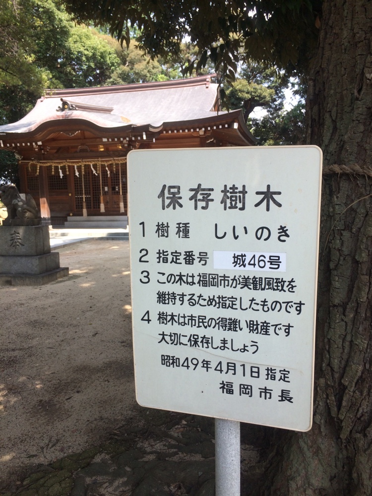 御子神社,城南区,福岡,南区,西長住,長住,長尾,福岡市,長住団地,ミスターマックス,神社