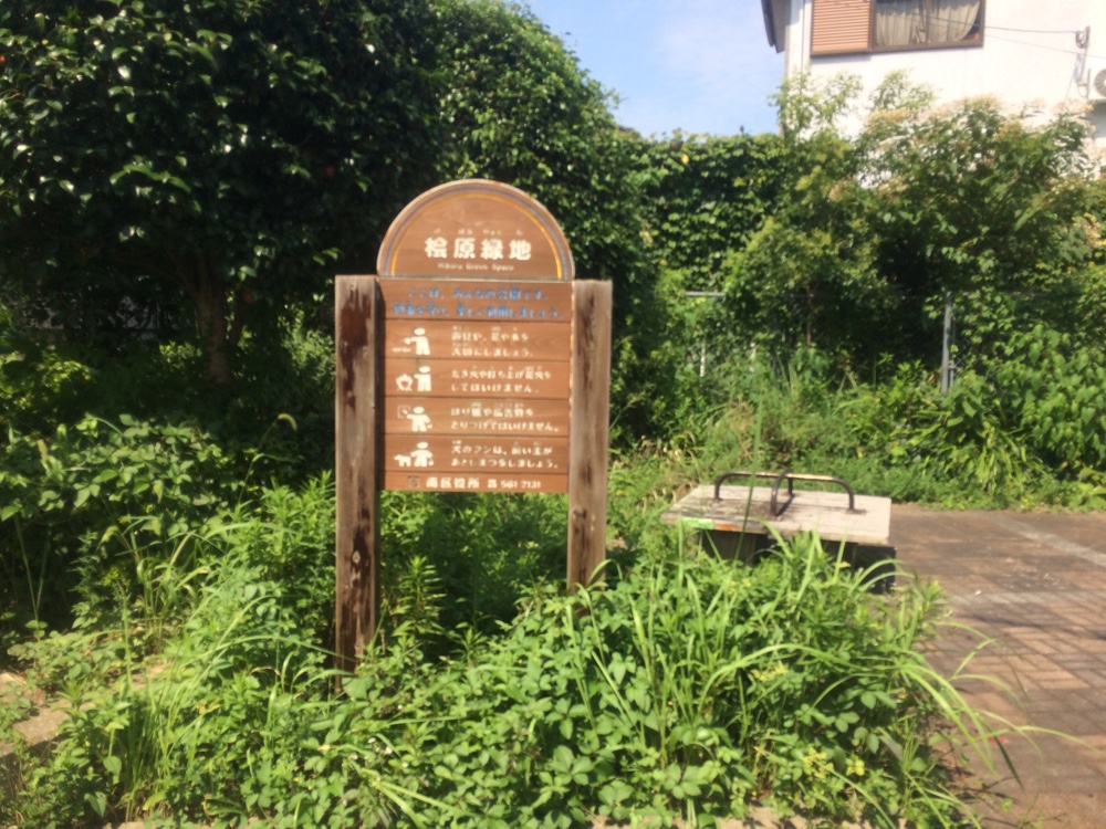 桧原緑地,城南区,福岡,南区,西長住,長住,長尾,福岡市,長住団地,ミスターマックス,福岡都市高速